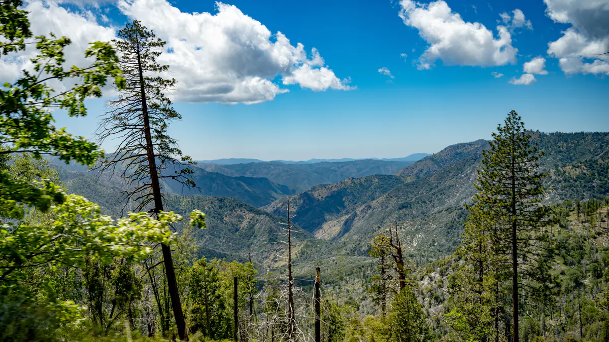 A Sierra Nevada canyon in California, pines framing the ridgelines under a bright sky