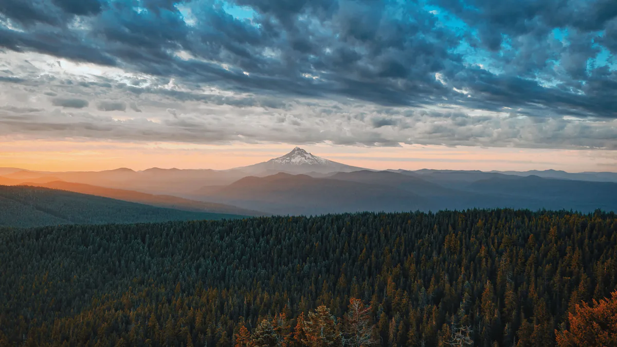 Mount Hood at sunrise above forested ridges in Oregon