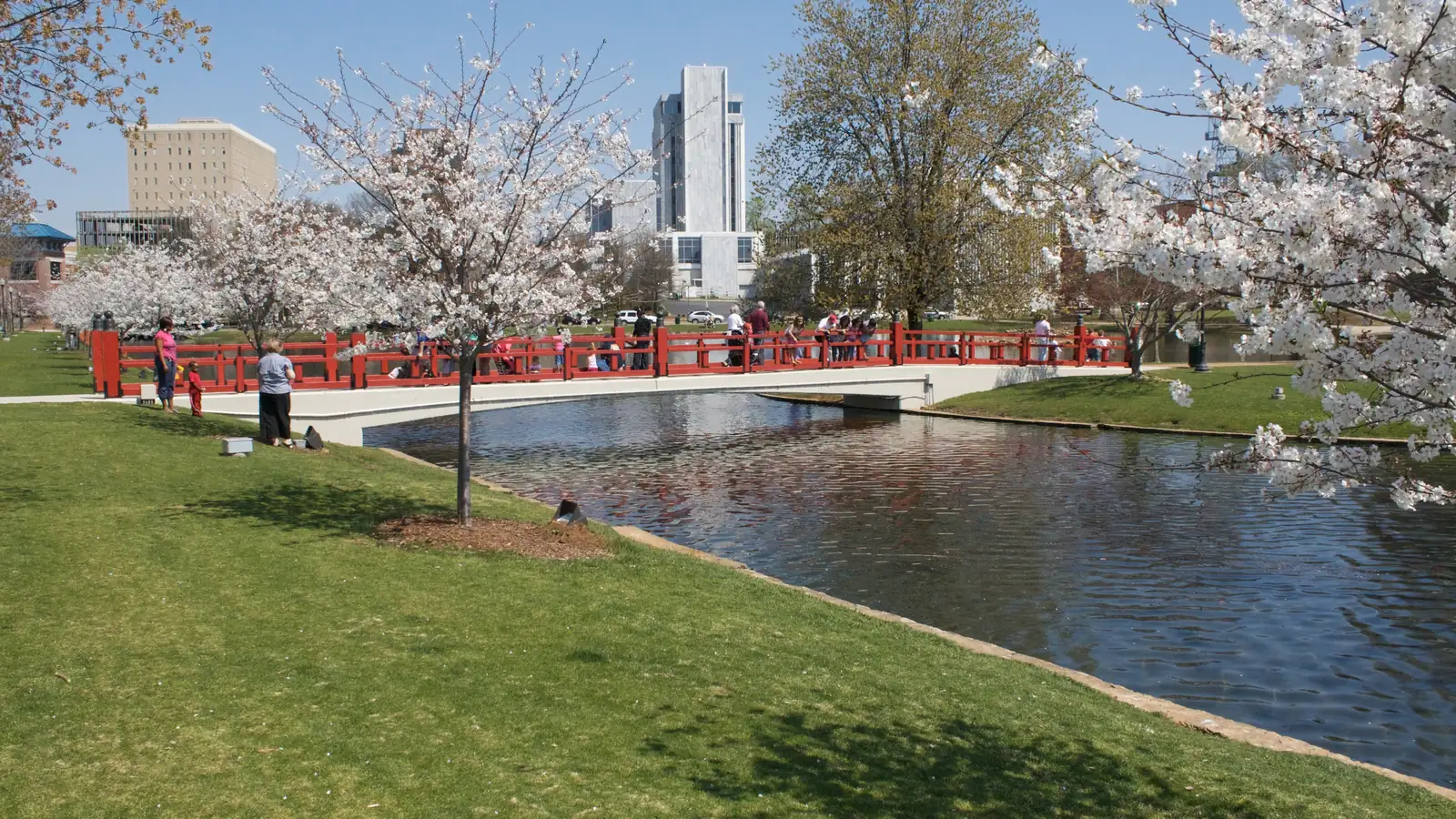 The red Japanese bridge at Big Spring Park in downtown Huntsville, cherry trees in full bloom over the lagoon with the city behind