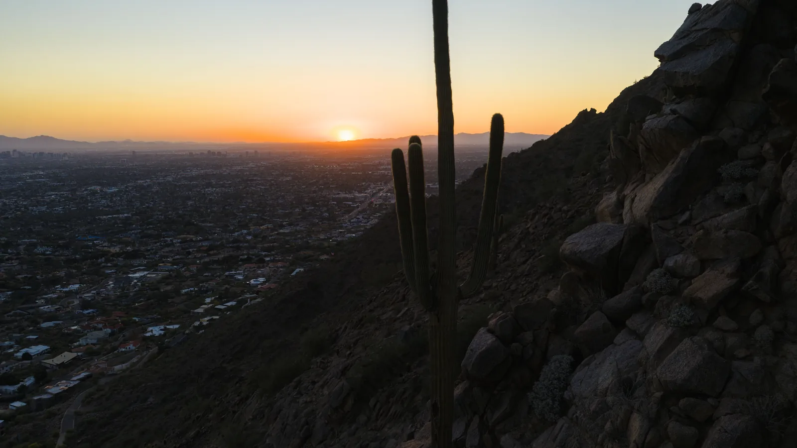 A saguaro cactus silhouetted on the slope of Camelback Mountain at sunset, with the lights of the Phoenix valley spreading to the horizon
